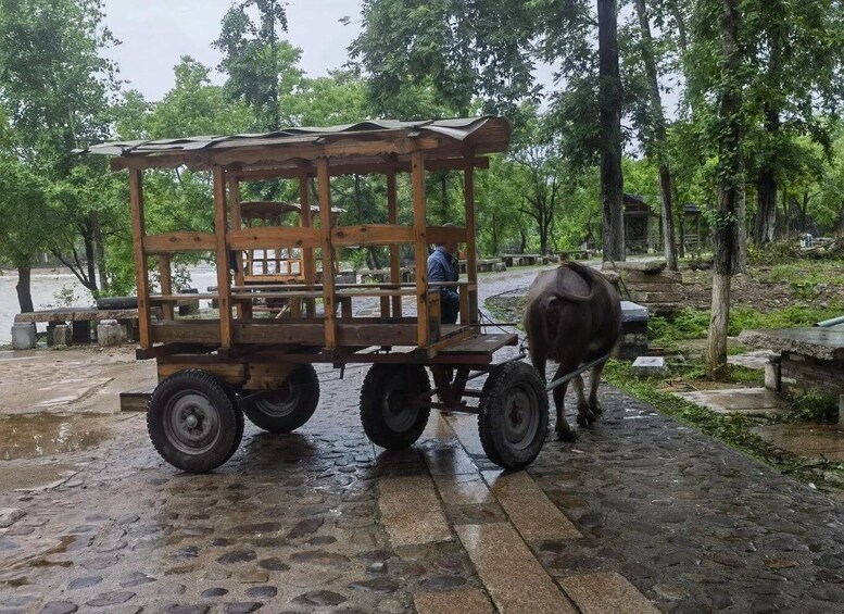 Picture 5 for Activity Guilin: Dongli Ancient Village ICH Experience Private Tour 3