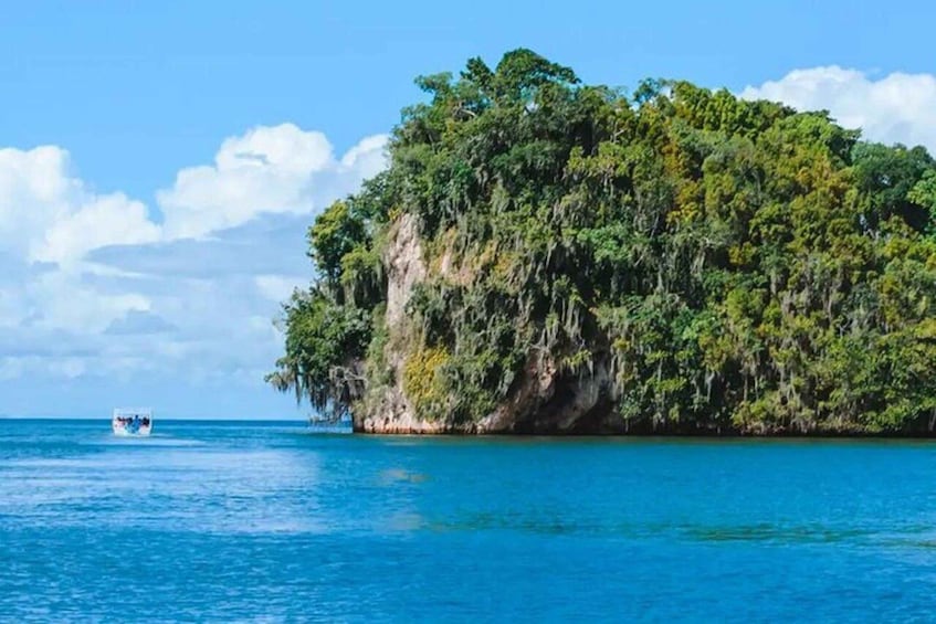 A clear blue sea with a small boat and a lush green island. 1