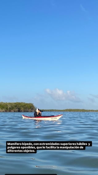 A person paddling a small boat on calm water with a clear sky. 2