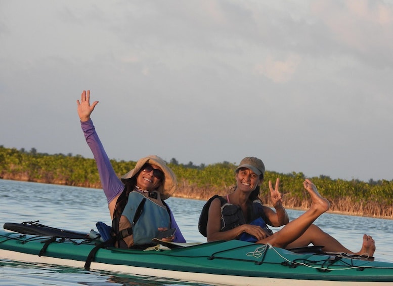 Two people kayaking on a calm body of water with vegetation in the background. 3