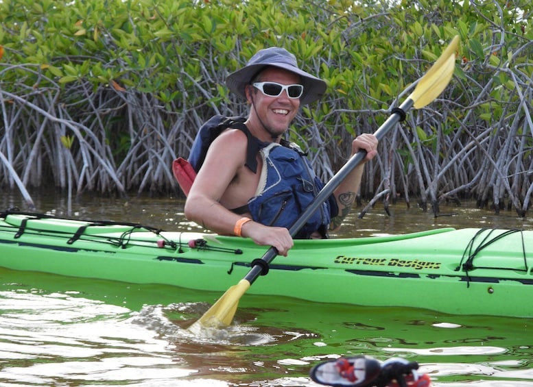 A person kayaking in a green kayak with 'Current Designs' written on it, surrounded by mangrove trees. 5