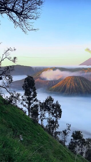 A volcanic landscape with a forested foreground and a mist-covered mountain range. 3