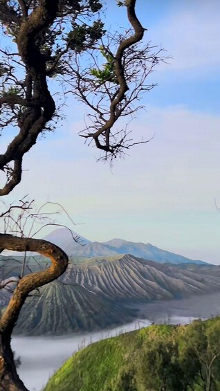 A twisted tree branch, a mountain range, and a valley. 2