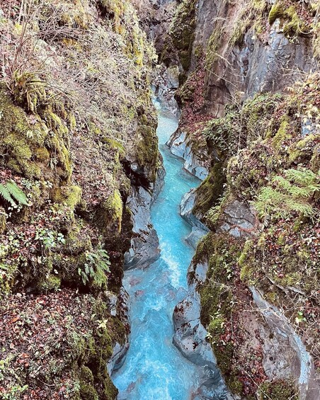 A river flowing through a rocky gorge with moss-covered cliffs and dense foliage. 5