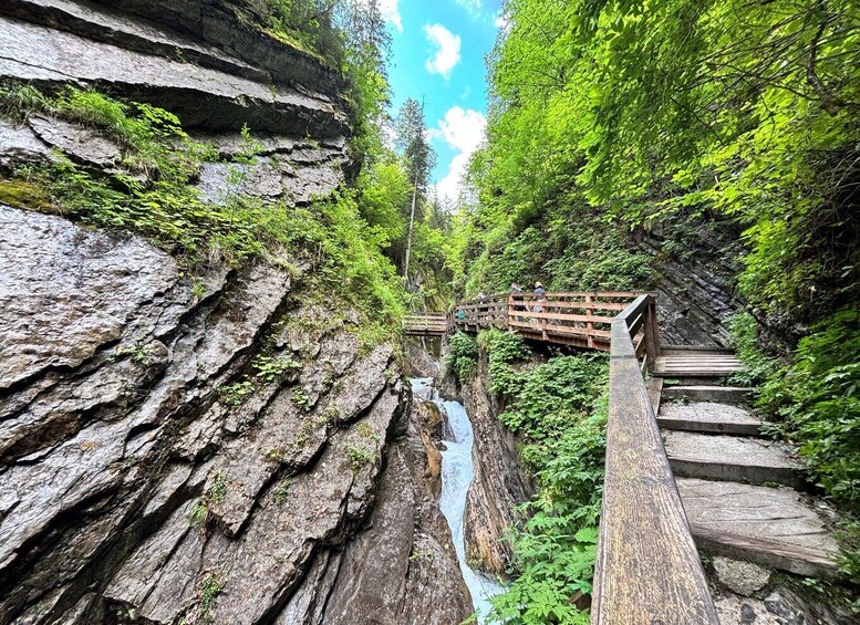 Picture 1 for Activity Gourmet tour from Lake Chiemsee to the Berchtesgadener Land 3