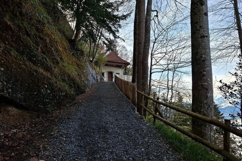 Rigi Hiking Experience Mark Twain Path and Train Ride 3