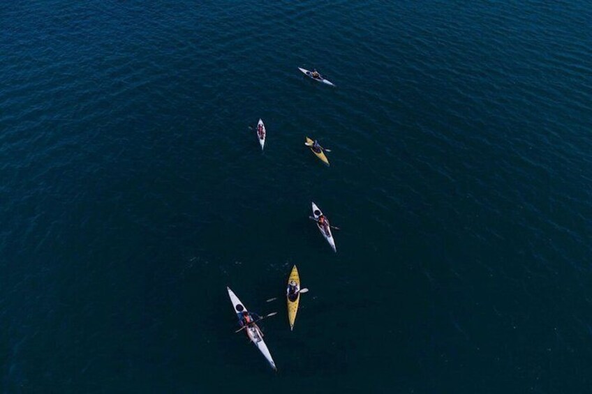 A group of kayaks on a calm body of water. 4
