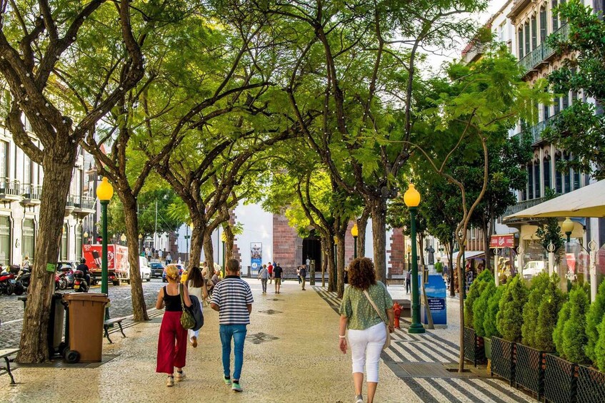 A tree-lined pedestrian walkway with people walking, parked motorcycles, and buildings in the background. 2