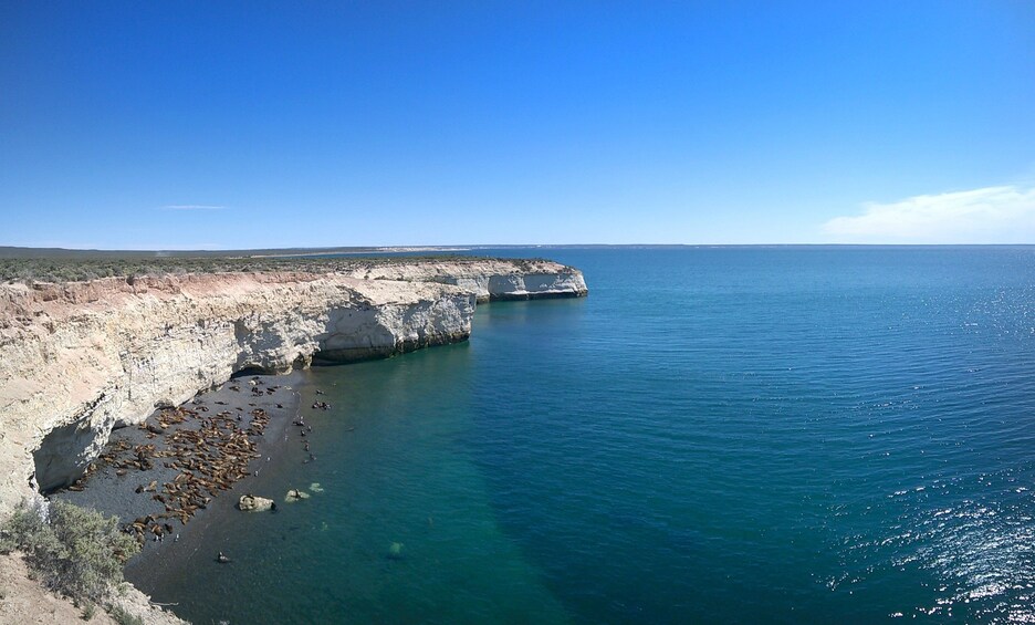 Puerto Madryn City Tour & Sea Lions at Punta Loma