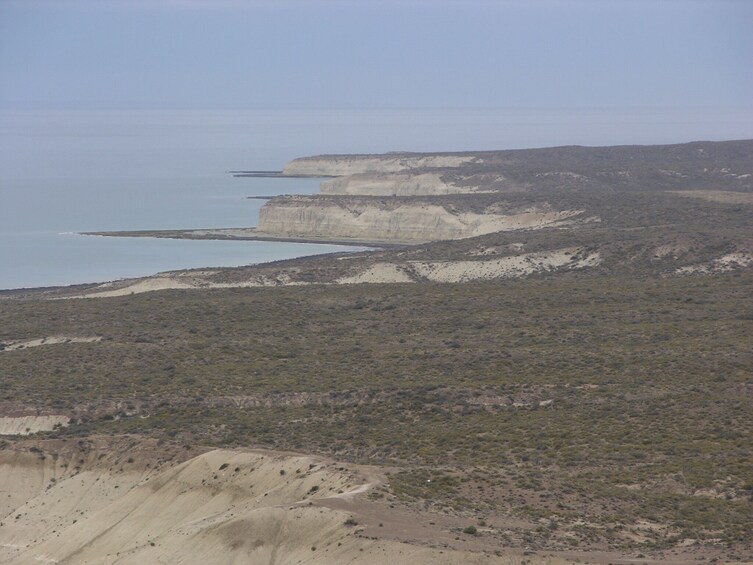 Puerto Madryn City Tour & Sea Lions at Punta Loma