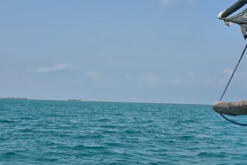 Safari Blue Zanzibar FullDay Tour with Snorkeling & Seafood Lunch 2