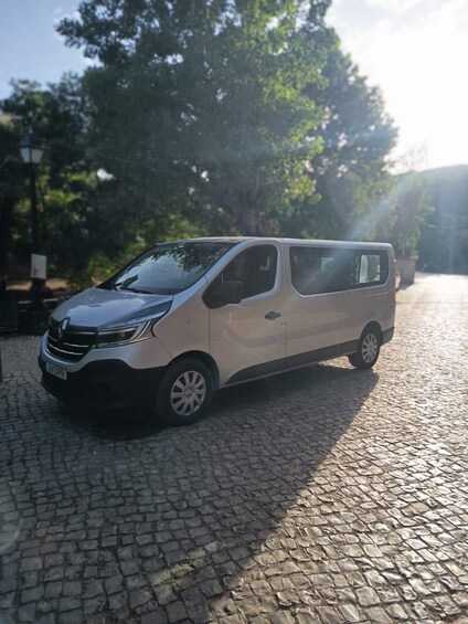 A silver van parked on a cobblestone street with trees in the background. 2
