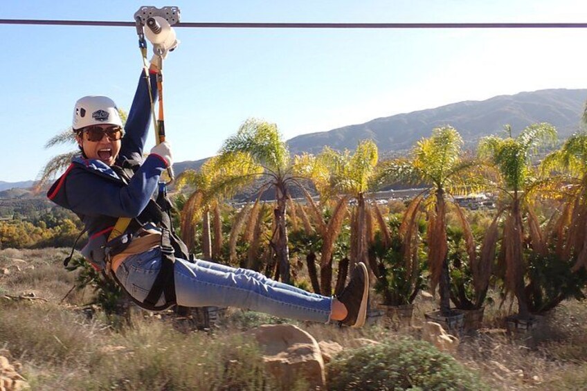 A person zip-lining with a harness, palm trees, and mountains in the background. 1