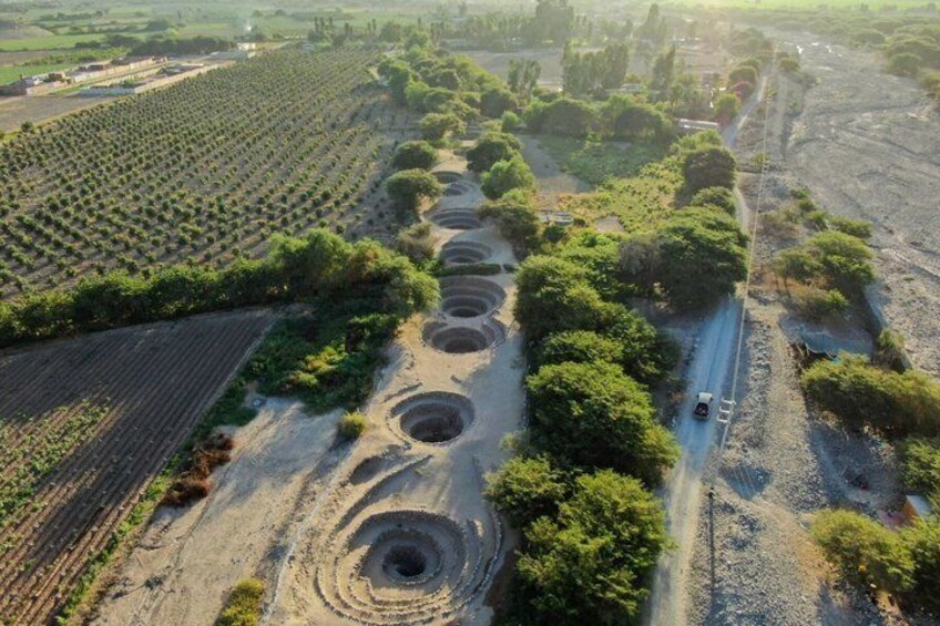 An aerial view of a vineyard with rows of grapevines and circular pits. 2