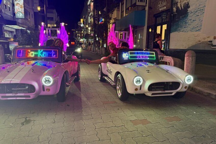 Osaka Go-Kart Tour – Drive Through Osaka 4