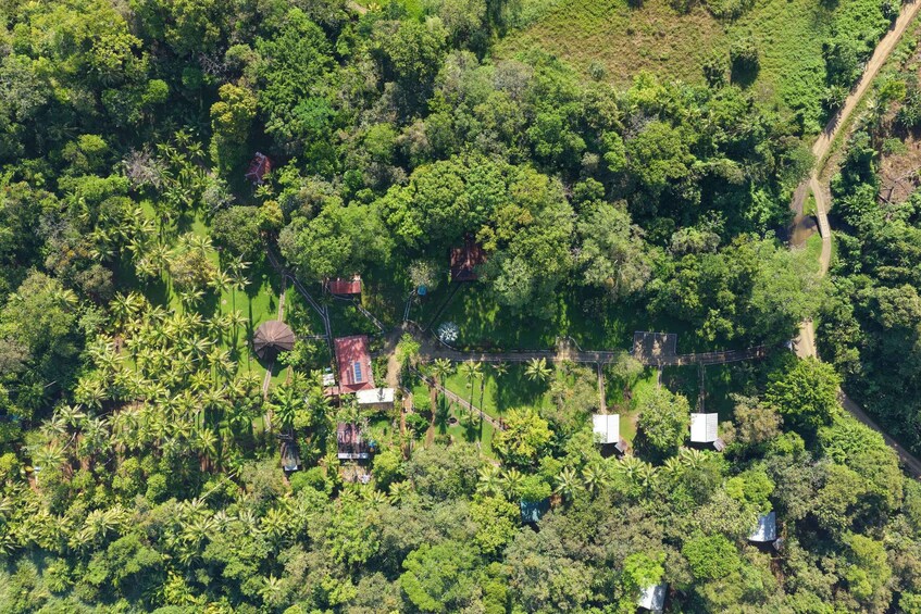 An aerial view of a lush, green landscape with dense vegetation, a winding road, and several small buildings. 1