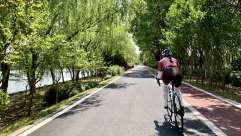 A cyclist on a tree-lined path with a body of water on one side. 3