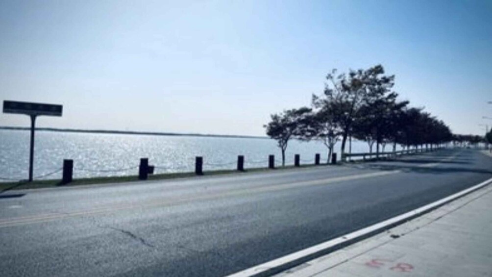 A coastal road with a clear sky, a water body, and trees along the sidewalk. 2