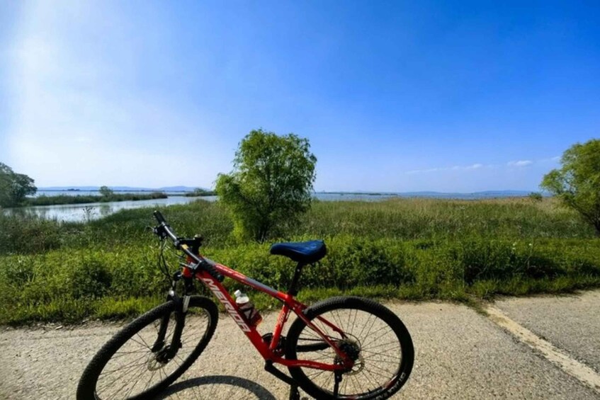 A red mountain bike parked on a gravel path with a river and greenery in the background. 5
