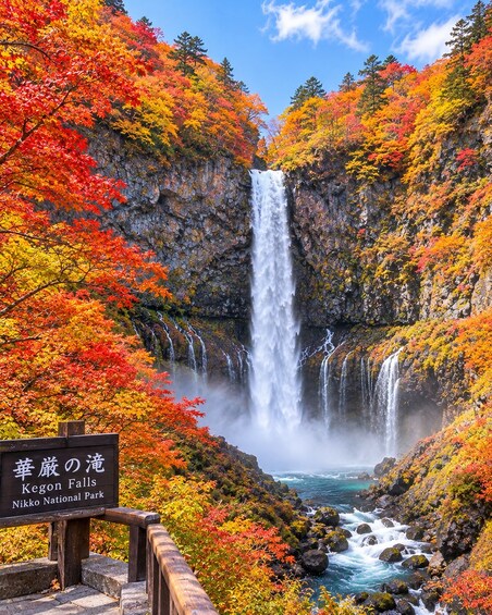 From Tokyo: Nikko Private Full-Day Tour with Driver 1