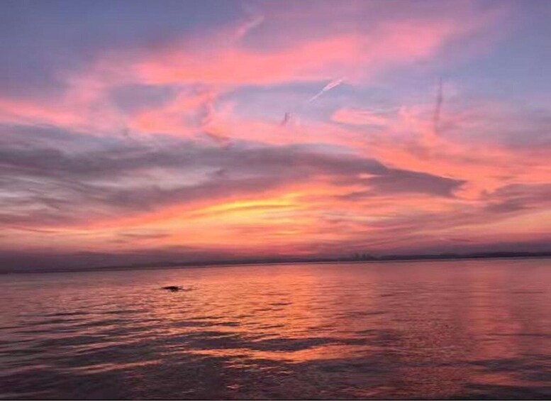 Picture 4 for Activity From Shanghai: Taihu Dongshan Hike & Lakeside Sunset Tour 5