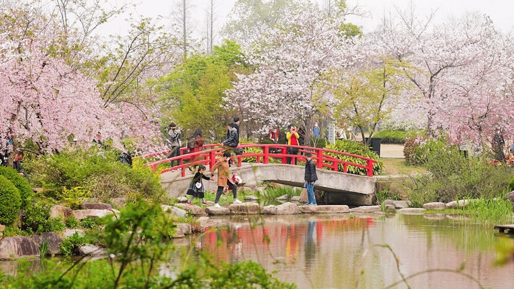 Picture 3 for Activity From Shanghai: Taihu Dongshan Hike & Lakeside Sunset Tour 4