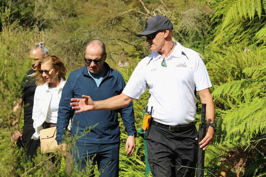 A group of people walking through a lush, green area with ferns and trees. 3