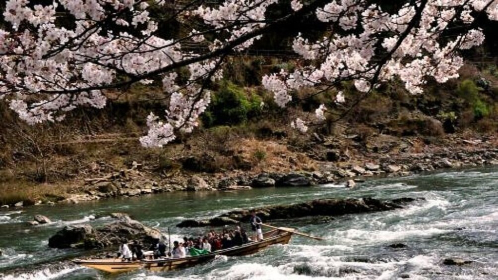 A river with a boat carrying passengers, surrounded by cherry blossoms. 5