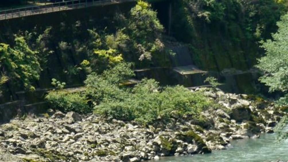 A rocky riverbank with dense greenery and a bridge in the background. 4