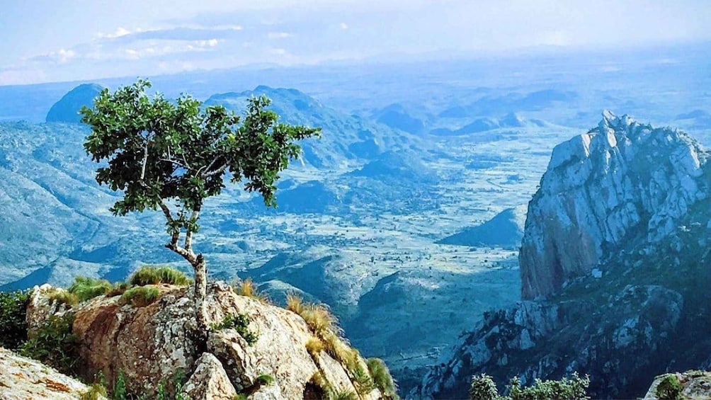 A mountainous landscape with a prominent rocky peak and a solitary tree. 3