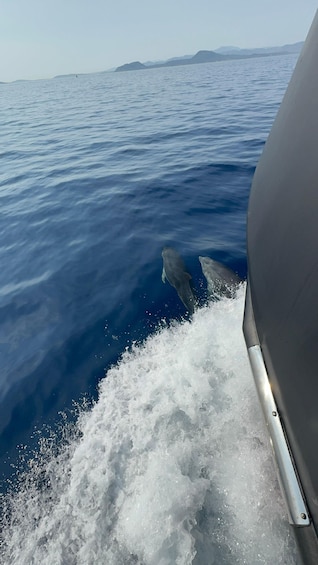Picture 3 for Activity Golfo Aranci: All-Inclusive Private Day on a Luxury Yacht with Dolphins 5