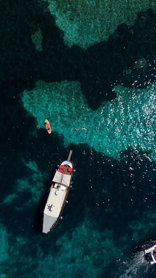 Picture 12 for Activity Golfo Aranci: All-Inclusive Private Day on a Luxury Yacht with Dolphins 5