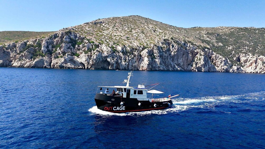 Golfo Aranci: All-Inclusive Private Day on a Luxury Yacht with Dolphins 4