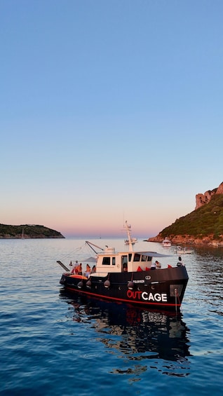 A black boat named 'OUTCAGE' on calm water with a rocky coastline in the background. 1