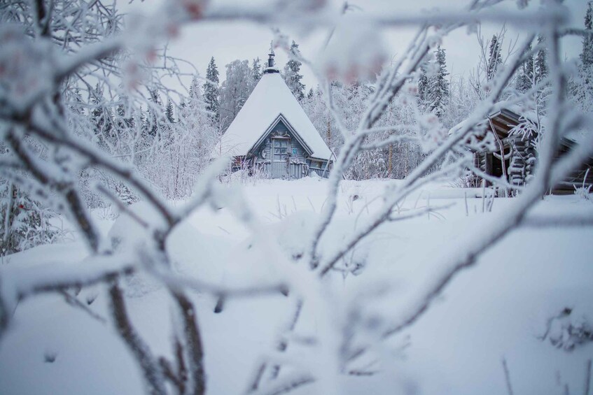 A snow-covered cabin in a forest. 1
