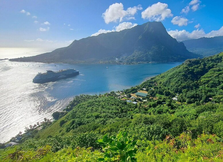 A cruise ship near a mountainous coastline with lush greenery. 2