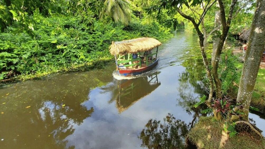 A boat with a thatched roof floating on a river surrounded by dense greenery. 3
