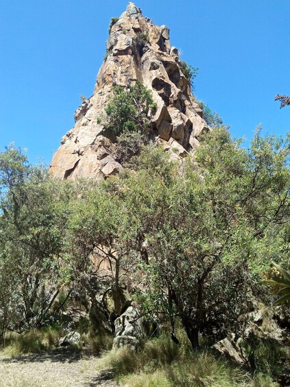 A rocky mountain peak with dense shrubbery in the foreground. 1