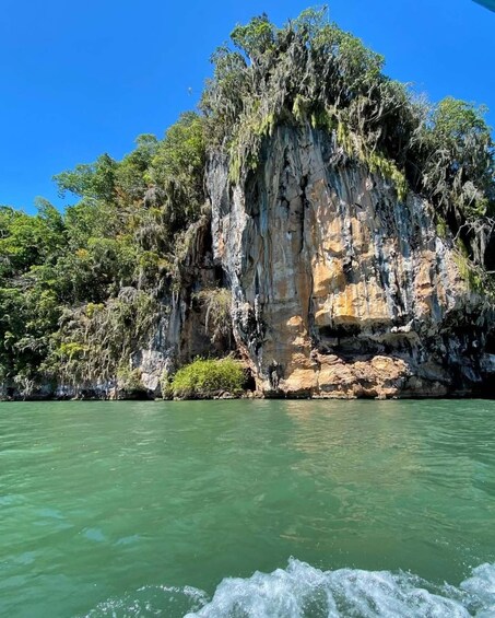 A coastal cliff with lush vegetation and clear green water. 4