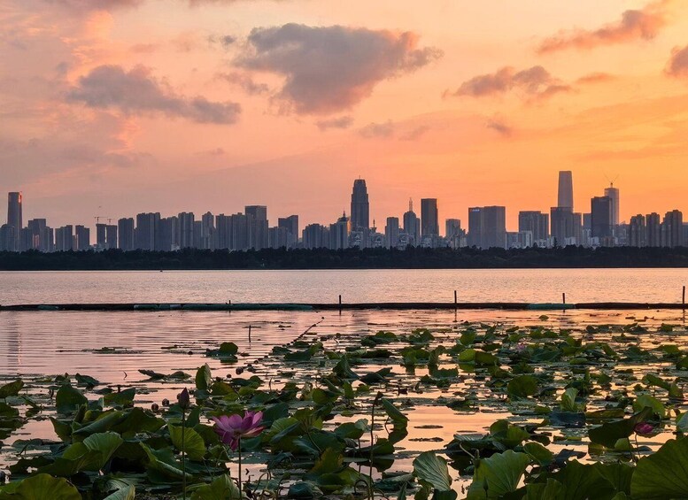 Picture 82 for Activity Wuhan: East Lake Moshan Lotus Garden Tour with Photos 2