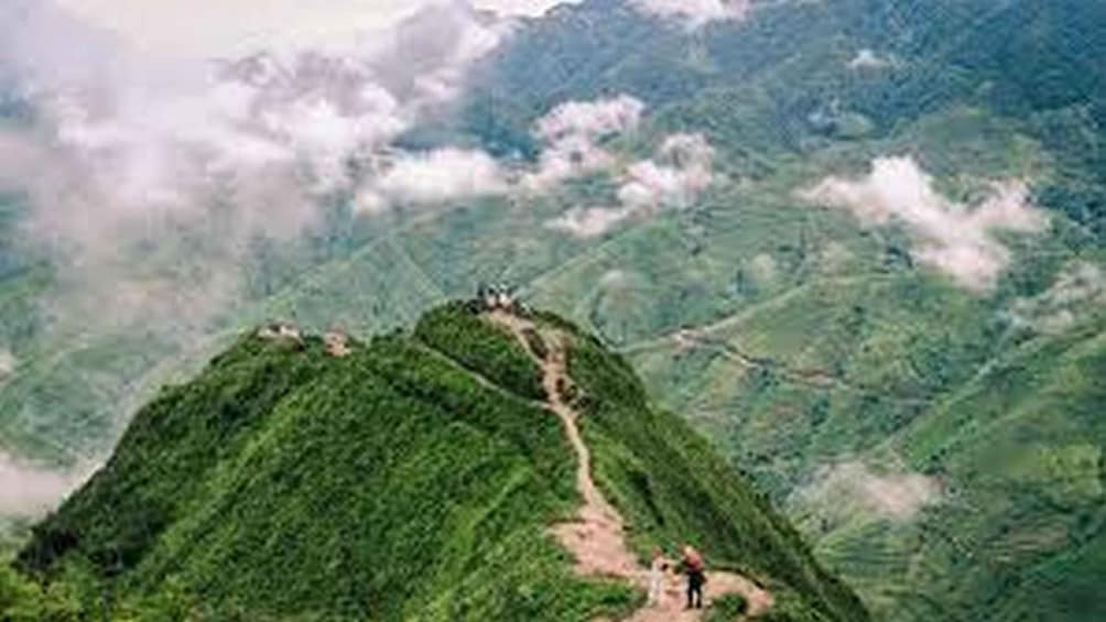 A mountain with a trail leading to a peak, surrounded by lush greenery and clouds. 3