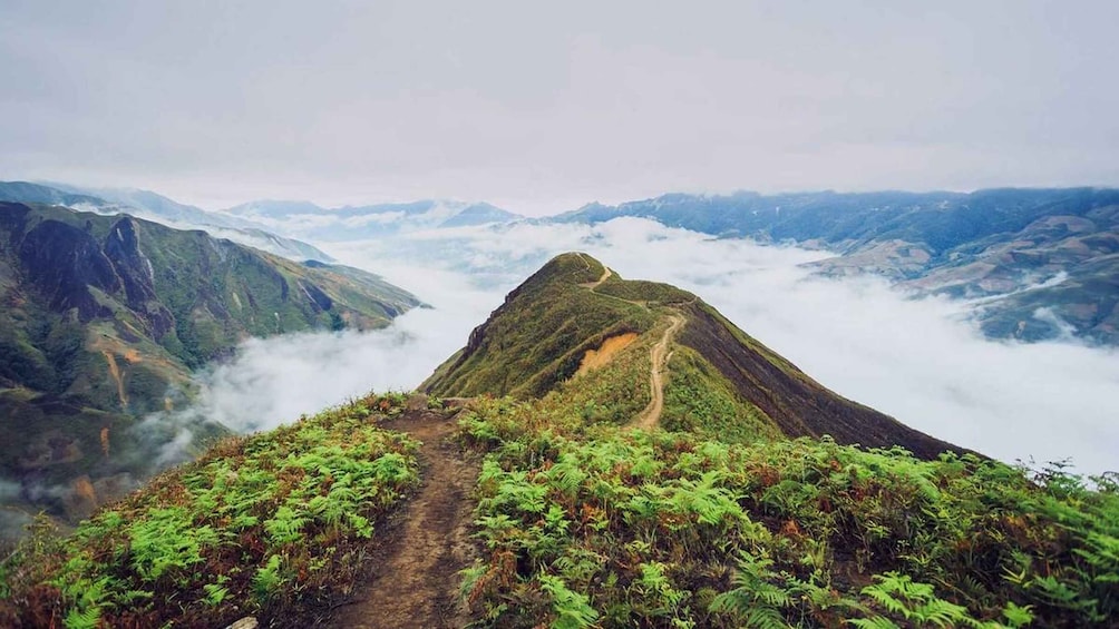 A mountain landscape with a trail leading to a peak, surrounded by lush greenery and clouds. 5