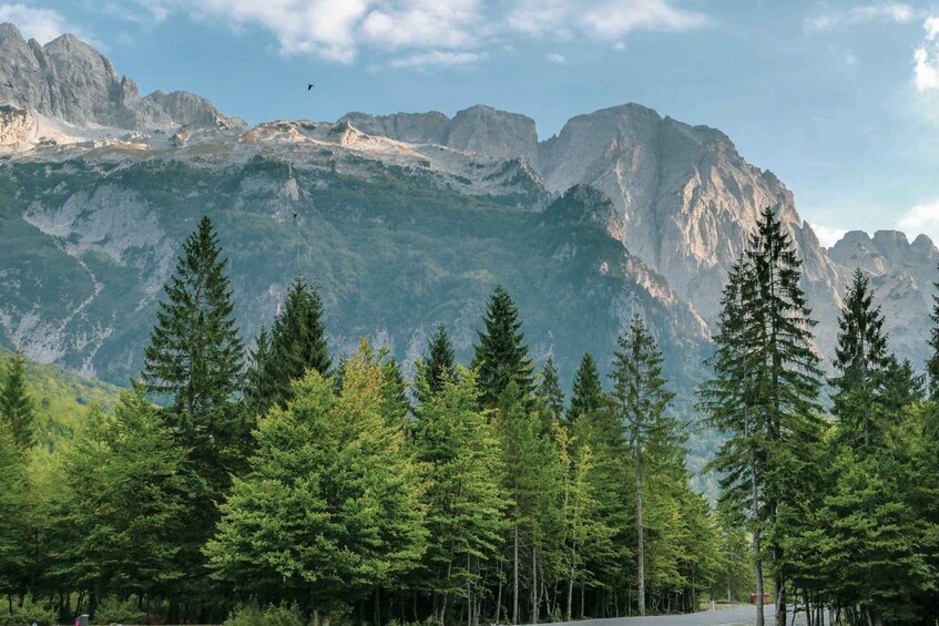 A mountainous landscape with dense forests and a clear sky. 1