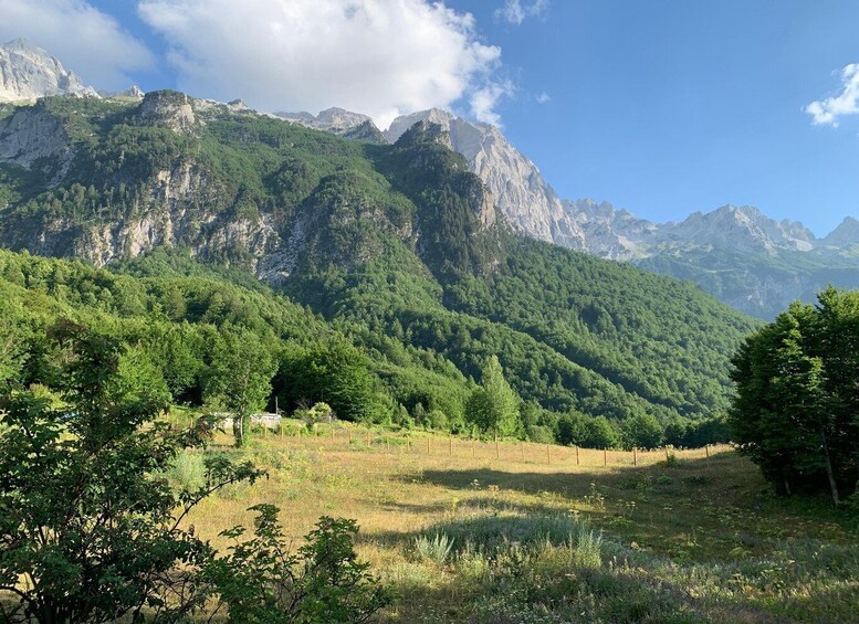 A mountainous landscape with dense forests and a clear sky. 5