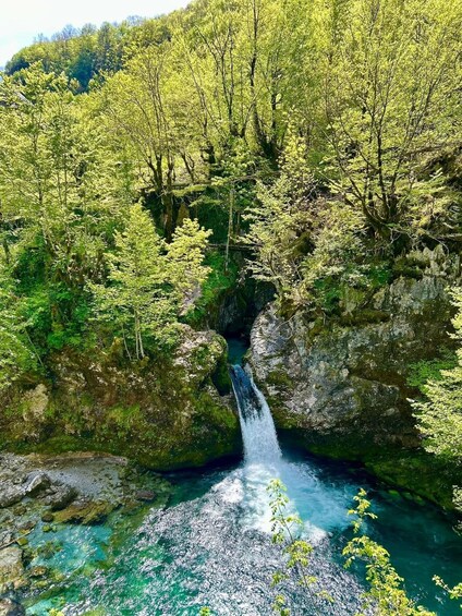 A waterfall in a forested area with clear water and surrounding greenery. 4