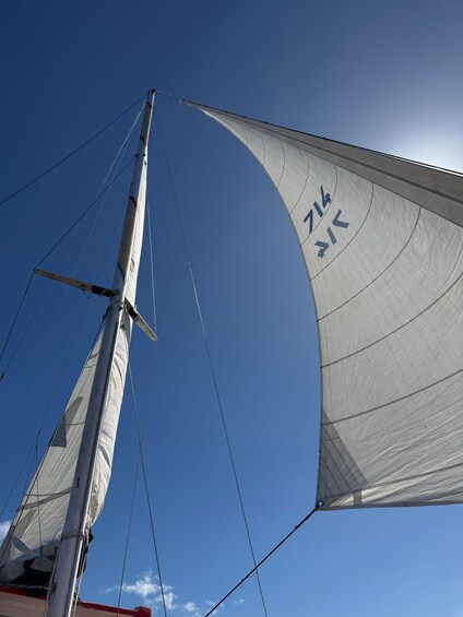 A sailboat with a white sail marked with '714' and directional arrows. 2