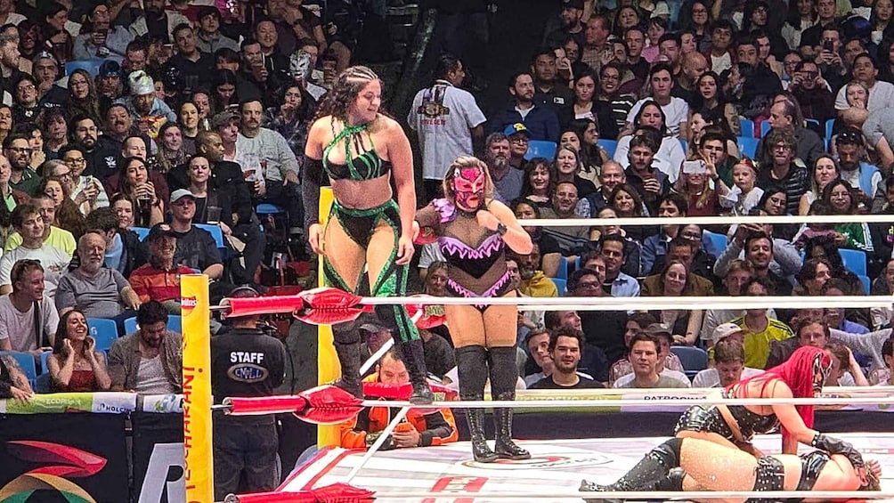 A wrestling match with two wrestlers in the ring, surrounded by an audience. 2