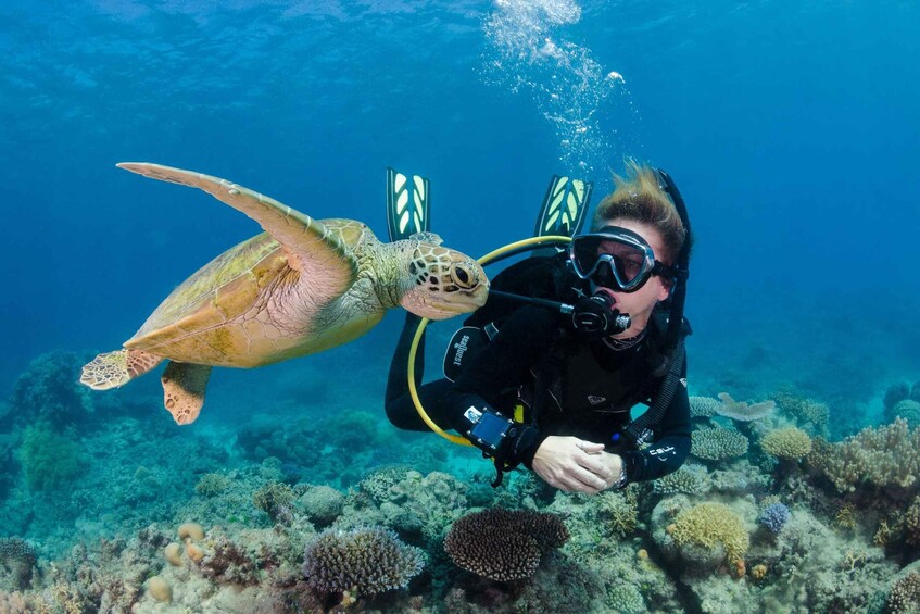 A diver with a camera and a sea turtle swimming close together underwater. 3