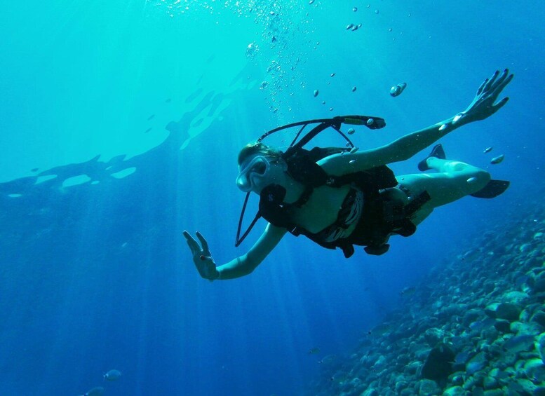 A diver underwater with a scuba tank and fins. 5