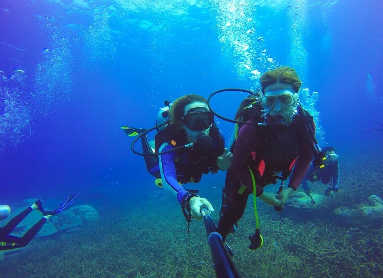 Two scuba divers underwater with fins and tanks, surrounded by marine life and coral. 2